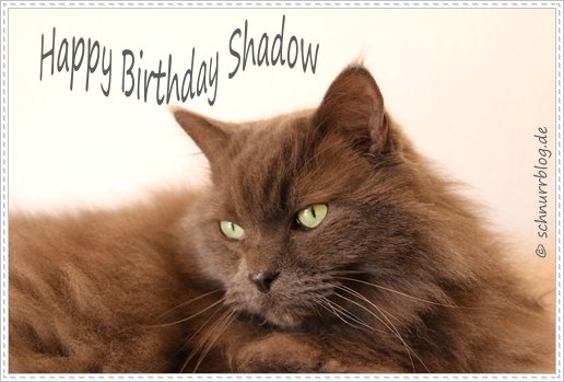Happy Birthday lieber Shadow