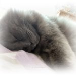 Nichts mit Massage