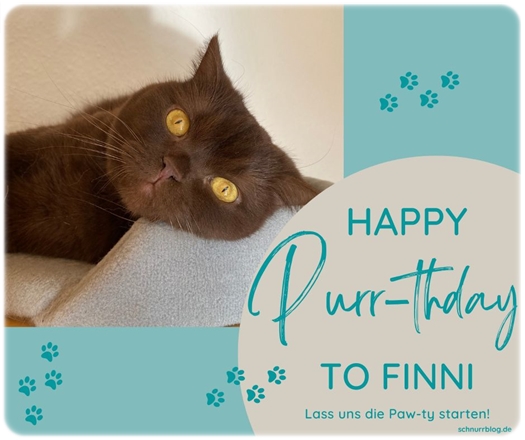 Happy Purrthday Finni