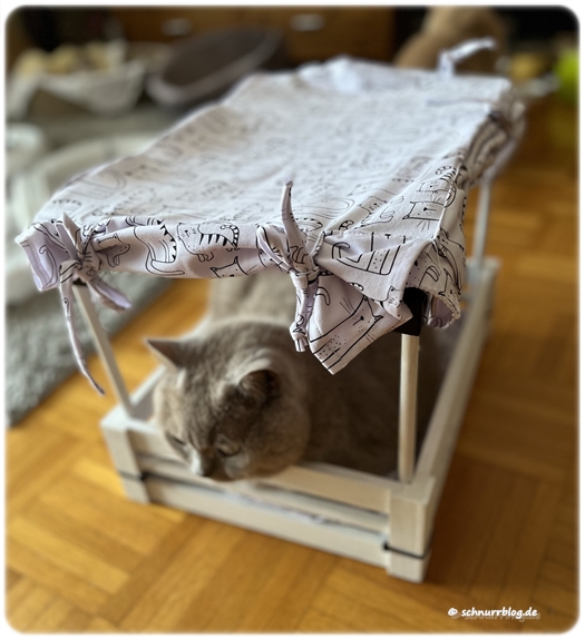 Unser Outdoor Bettchen für gut befunden - DIY für Katzen