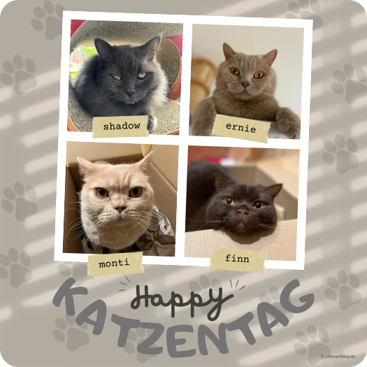 Happy Katzentag
