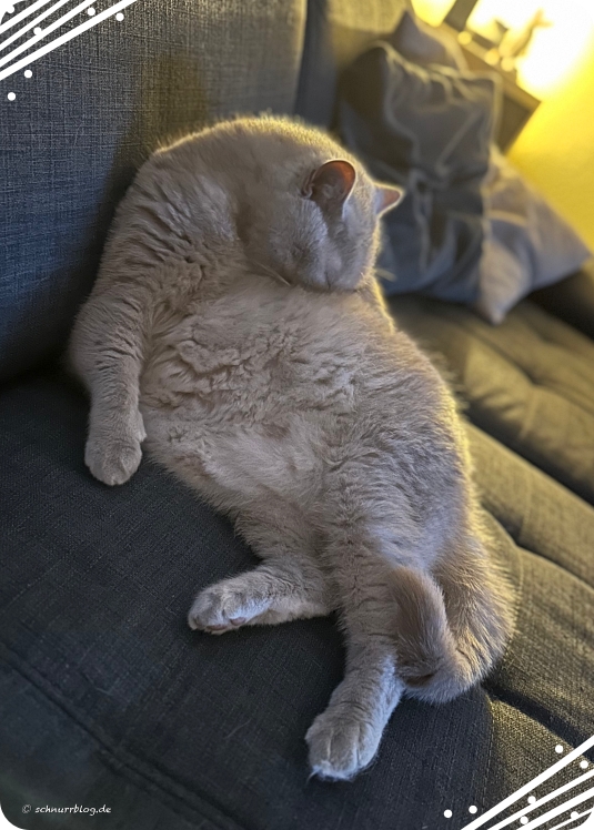 Ernie weint ins Fell