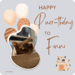 cfsb_2025-finni