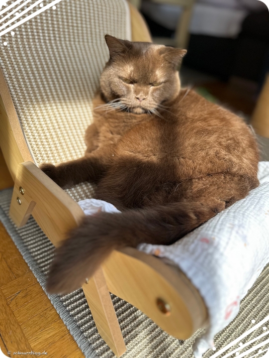 Manchmal muss man nur meckern und dann lohnt es sich wieder im Sonnenstuhl zu liegen