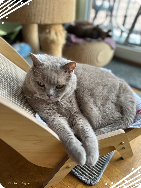 Ernie mag den neuen Liegestuhl auch 