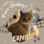 cfsb_2025-09-Ernie