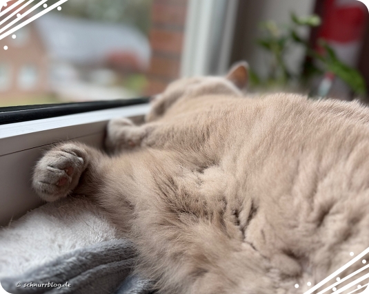 Rugepausen mit Ernie Rugepausen mit Ernie