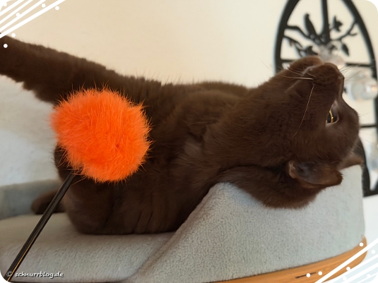 Spieleinheit mit Frauli