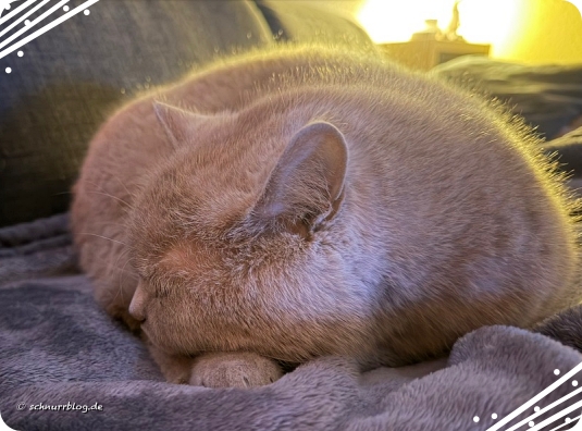 Haben noch ne Runde piano gemacht Haben noch ne Runde piano gemacht