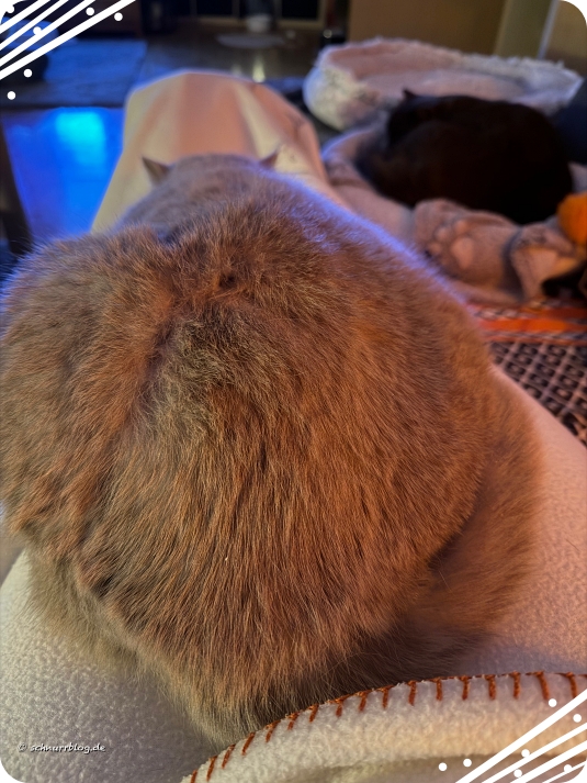 Ernie hat sein Ziel erreicht Ernie hat sein Ziel erreicht