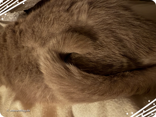 Ernie und der Kringel Ernie und der Kringel