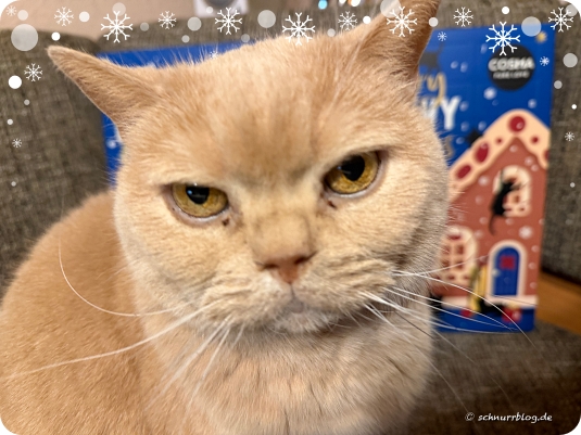 Mach auf die Tür die Tür mach auf #Monti