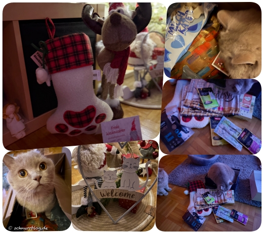 Lauter tolle Sachen im Nikokaterpaket Lauter tolle Sachen im Nikokaterpaket