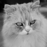 Du fehlst leise – seit zehn Jahren cfsb_2025-12-08