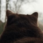 Entspannt zwischen den Jahren cfsb_2025-12-13