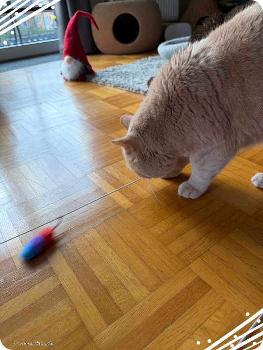 Christkatz meint wir brauchen mehr Bewegung #Monti