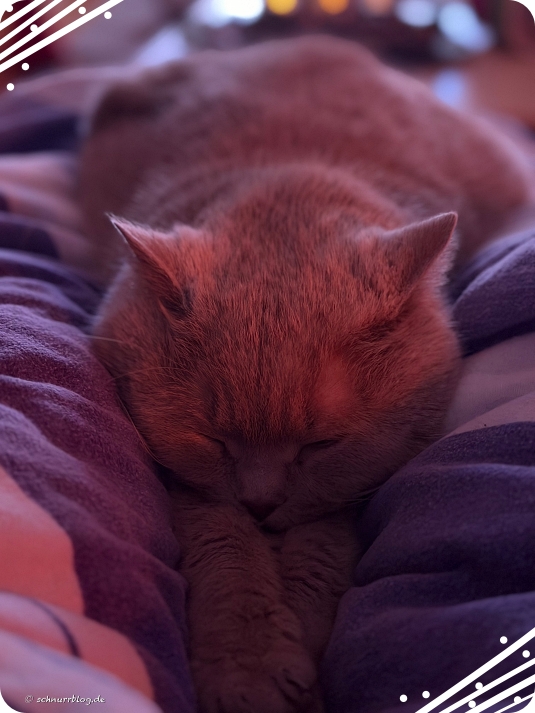 Ernie entschleunigt auf Frauli