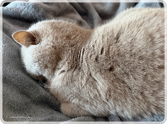 Zwischen Wintermodus und Sonnenstrahl #Ernie Zwischen Wintermodus und Sonnenstrahl #Ernie