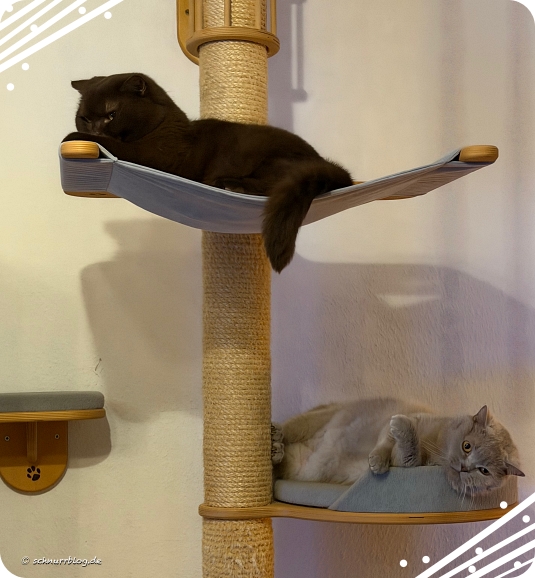 Frauli außer Betrieb, wir mussten übernehmen