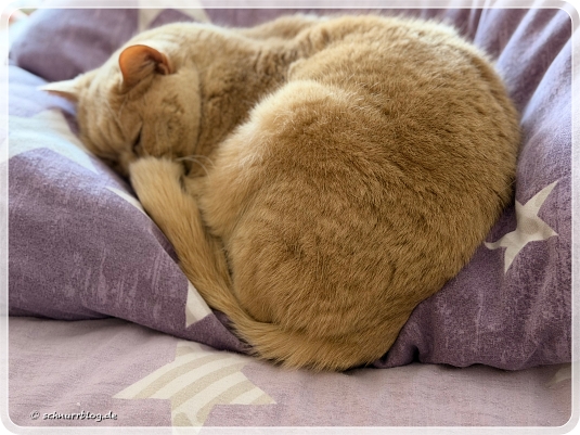 Monti in der Management Etage