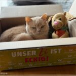 Wenn das Leben Pause drückt cfsb_2026-03-07