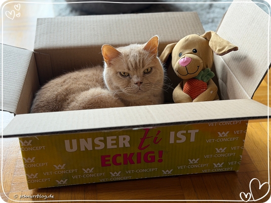 Wenn das Leben Pause drückt haben wir zum Glück einen neuen Karton #Monti Wenn das Leben Pause drückt haben wir zum Glück einen neuen Karton #Monti