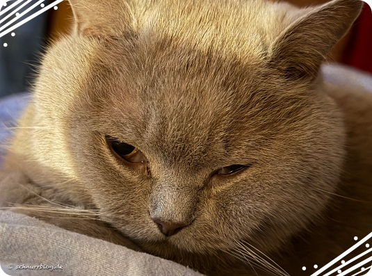 Die Narkose hatte es in sich