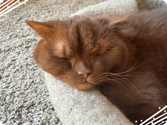 FINNI hüllt sich in Schweigen