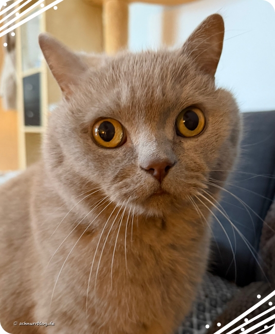 Ernie gibt Entwarnung 