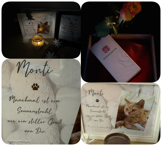 Monti ist wieder Zuhause <3