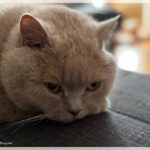 Wir waren immer an Fraulis Seite #Ernie