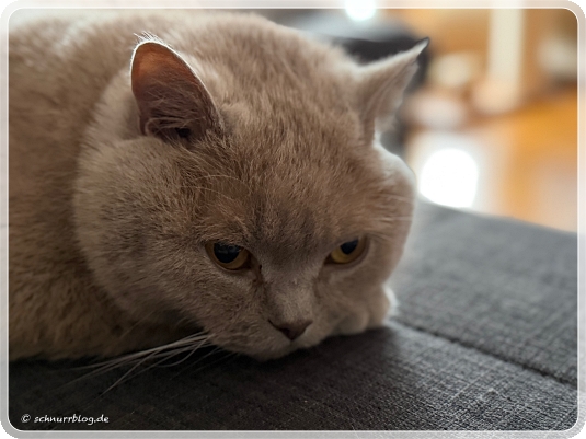 Wir waren immer an Fraulis Seite #Ernie