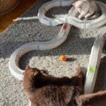Playtime