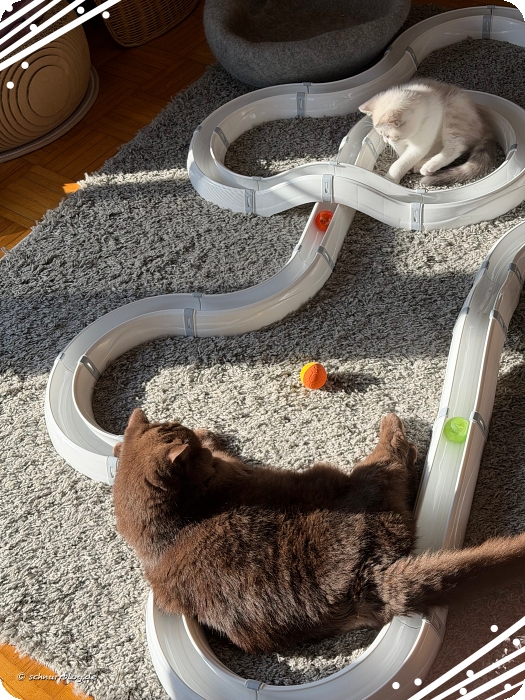Playtime Playtime